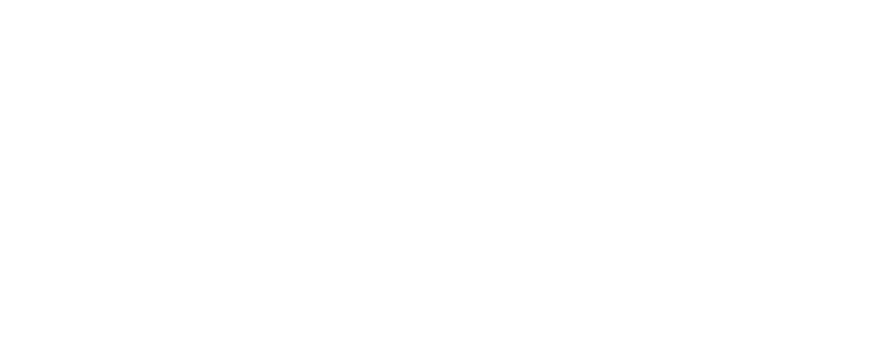 Flex 365